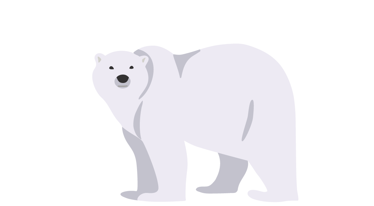 Polar Bear